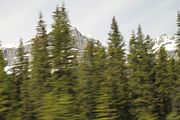 20 - Banff to Icefields - IMG_0935